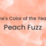 Pantone’s Color of the Year 2024: Peach Fuzz